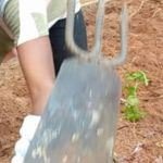 travailler-la-terre
